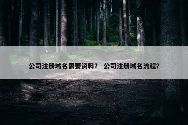 公司注册域名需要资料？ 公司注册域名流程？