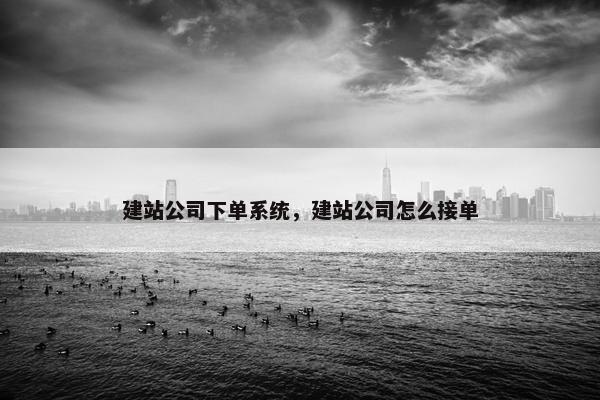 建站公司下单系统，建站公司怎么接单