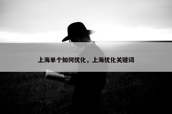 上海单个如何优化，上海优化关键词