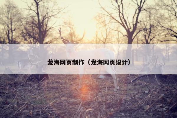 龙海网页制作（龙海网页设计）