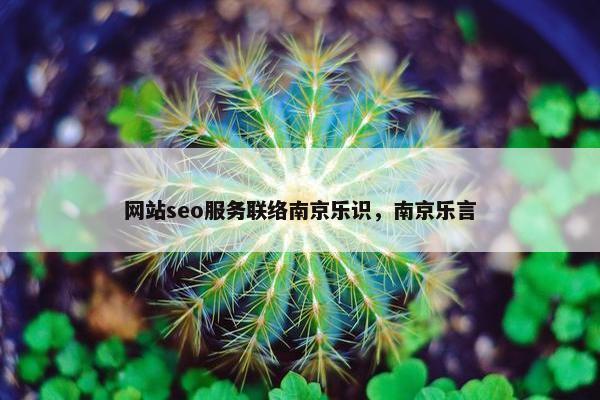 网站seo服务联络南京乐识，南京乐言