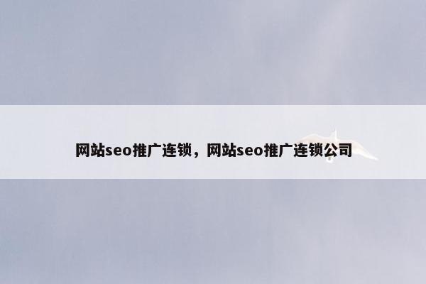 网站seo推广连锁，网站seo推广连锁公司