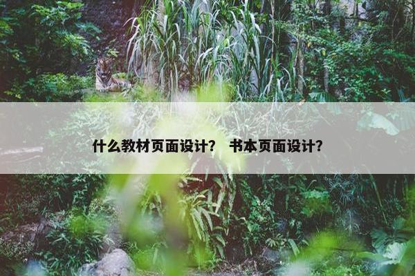 什么教材页面设计？ 书本页面设计？