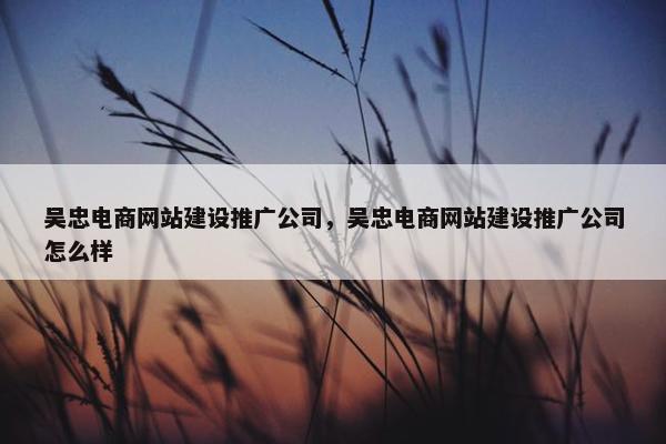 吴忠电商网站建设推广公司，吴忠电商网站建设推广公司怎么样