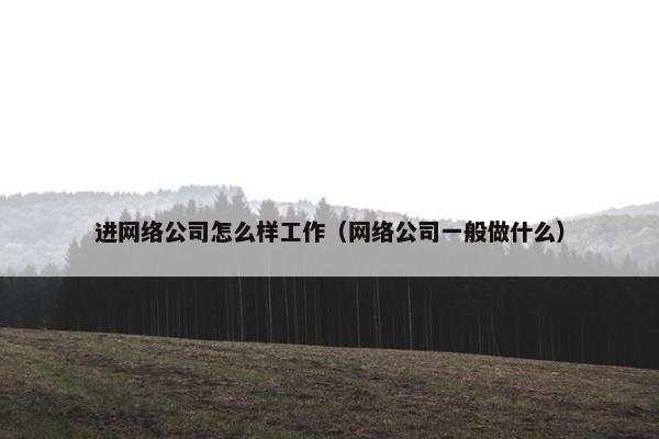进网络公司怎么样工作（网络公司一般做什么）