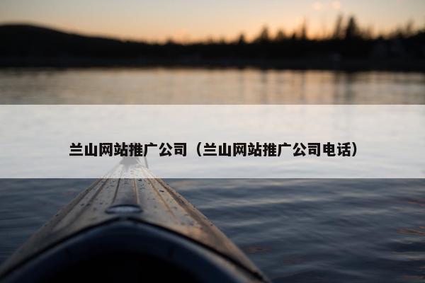 兰山网站推广公司（兰山网站推广公司电话）