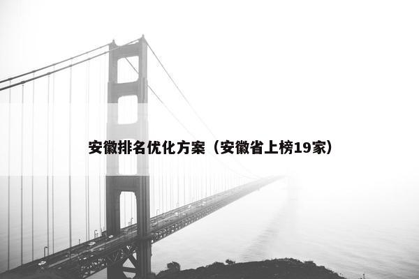 安徽排名优化方案（安徽省上榜19家）