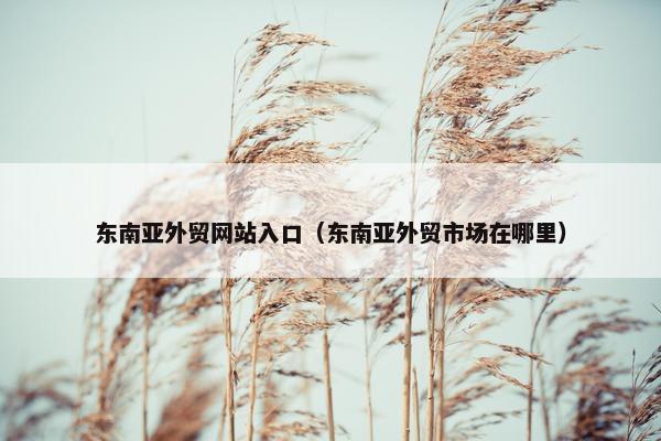 东南亚外贸网站入口（东南亚外贸市场在哪里）