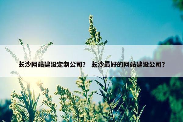 长沙网站建设定制公司？ 长沙最好的网站建设公司？