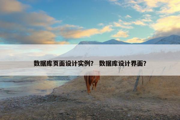 数据库页面设计实例？ 数据库设计界面？