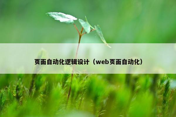 页面自动化逻辑设计（web页面自动化）
