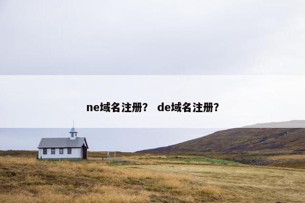ne域名注册? de域名注册? ne域名注册? de域名注册?