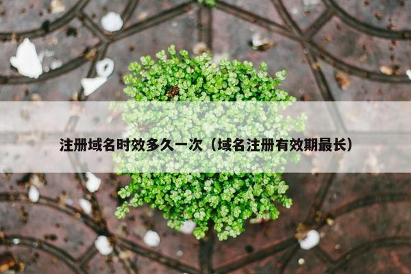 注册域名时效多久一次（域名注册有效期最长）