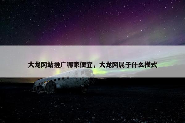 大龙网站推广哪家便宜，大龙网属于什么模式