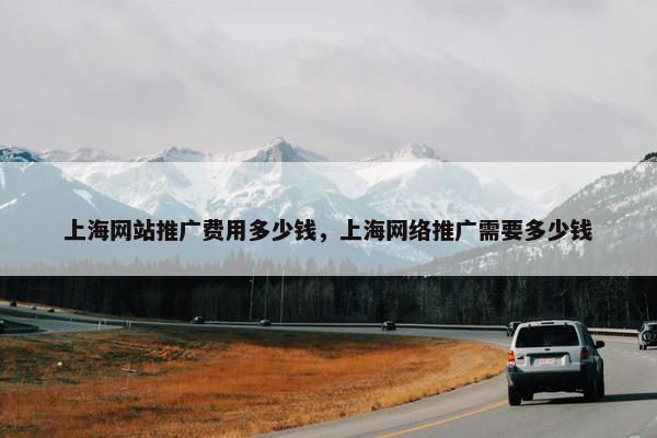 上海网站推广费用多少钱，上海网络推广需要多少钱