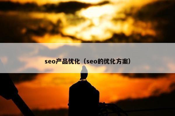 seo产品优化（seo的优化方案）