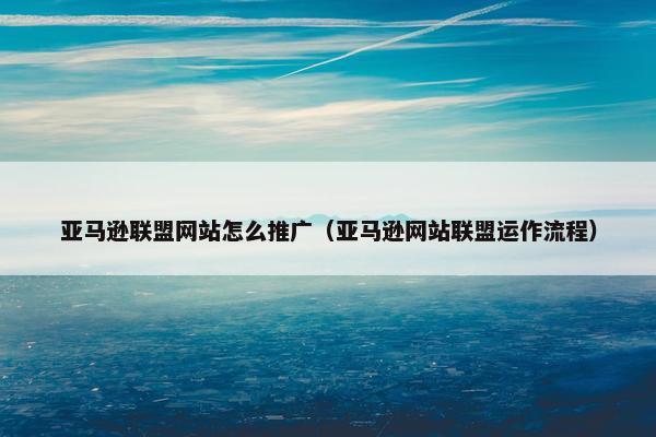 亚马逊联盟网站怎么推广（亚马逊网站联盟运作流程）