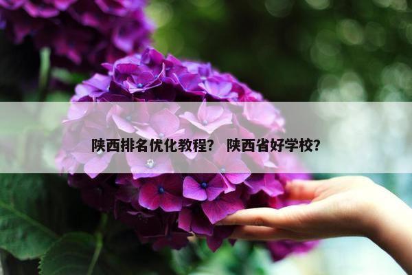 陕西排名优化教程？ 陕西省好学校？
