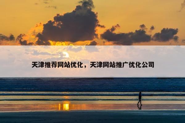天津推荐网站优化，天津网站推广优化公司