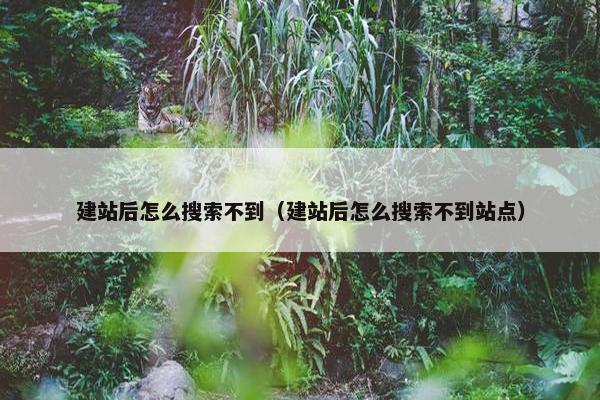 建站后怎么搜索不到（建站后怎么搜索不到站点）