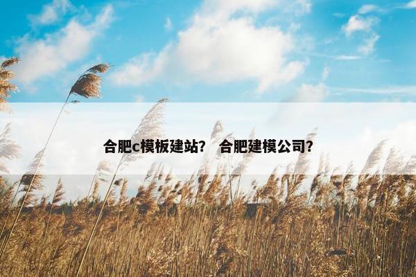 合肥c模板建站？ 合肥建模公司？