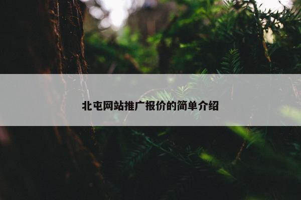 北屯网站推广报价的简单介绍
