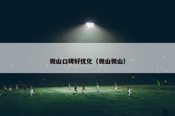 微山口碑好优化（微山微山）