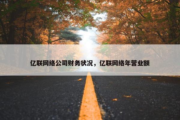 亿联网络公司财务状况，亿联网络年营业额
