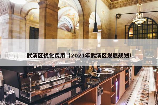 武清区优化费用（2021年武清区发展规划）