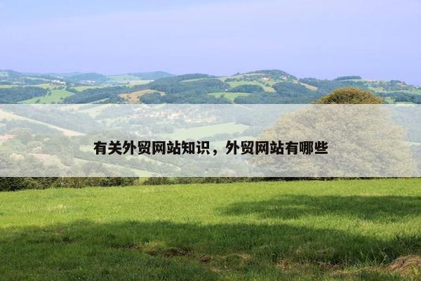 有关外贸网站知识，外贸网站有哪些