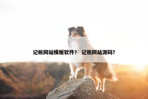 记帐网站模板软件？ 记账网站源码？