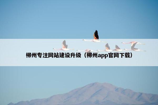 柳州专注网站建设升级（柳州app官网下载）