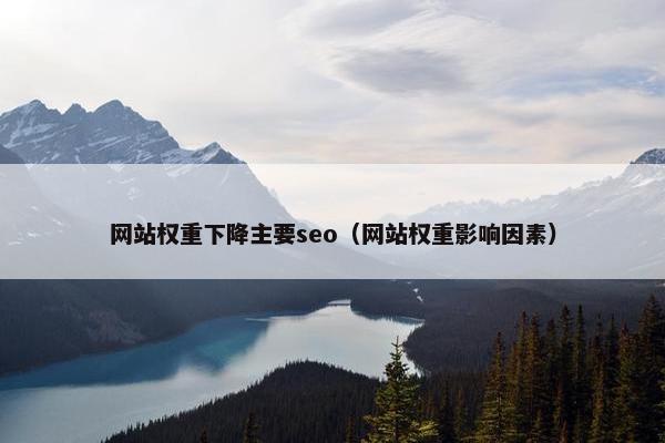 网站权重下降主要seo（网站权重影响因素）