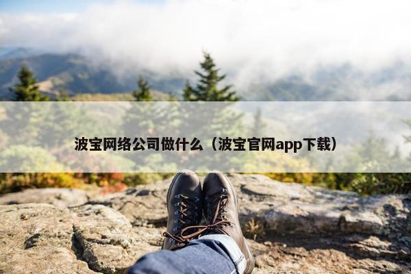 波宝网络公司做什么（波宝官网app下载）