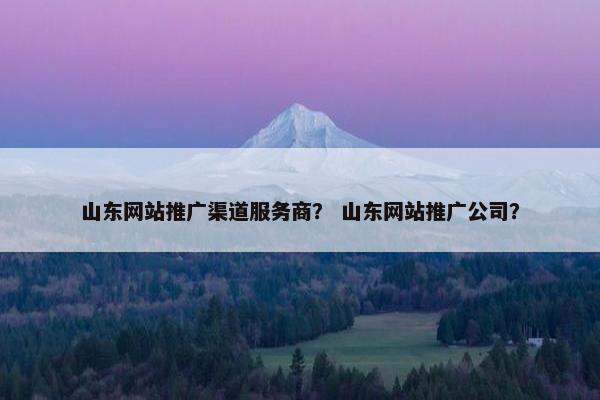 山东网站推广渠道服务商？ 山东网站推广公司？