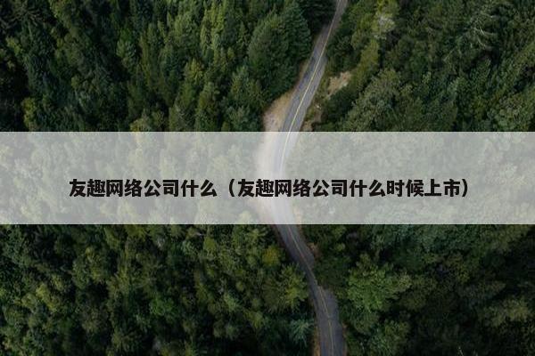 友趣网络公司什么（友趣网络公司什么时候上市）