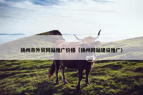 扬州市外贸网站推广价格（扬州网站建设推广）