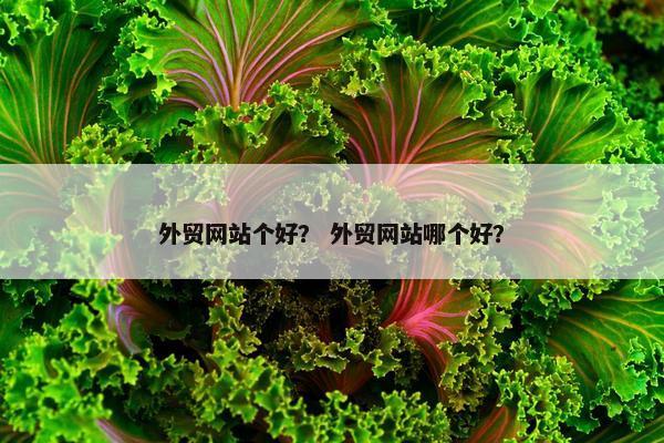 外贸网站个好? 外贸网站哪个好? 外贸网站个好? 外贸网站哪个好?