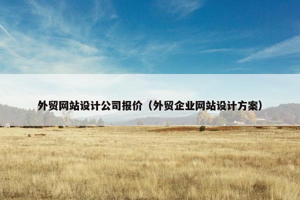 外贸网站设计公司报价（外贸企业网站设计方案）