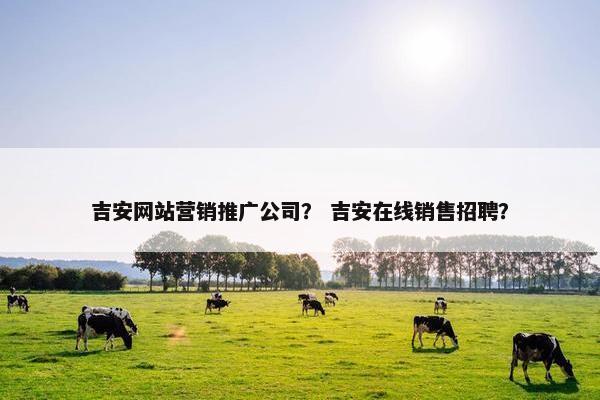 吉安网站营销推广公司？ 吉安在线销售招聘？