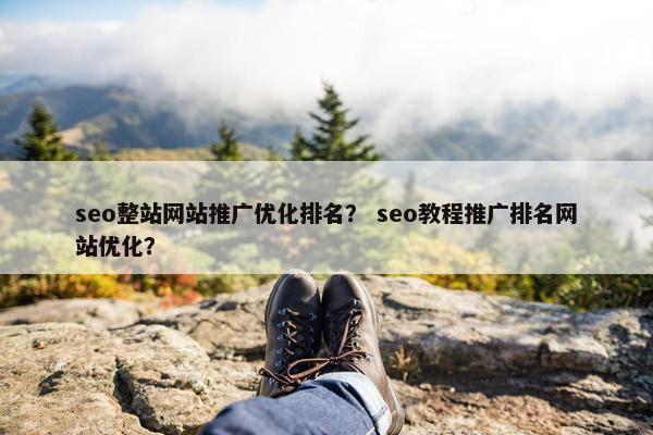 seo整站网站推广优化排名？ seo教程推广排名网站优化？