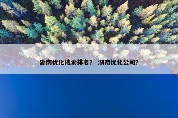 湖南优化搜索排名？ 湖南优化公司？