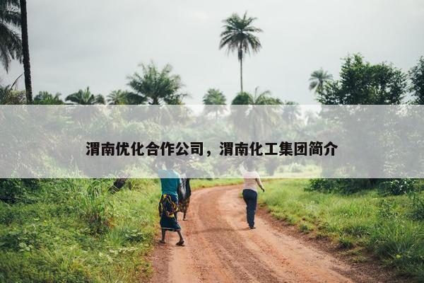 渭南优化合作公司，渭南化工集团简介