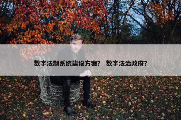 数字法制系统建设方案？ 数字法治政府？