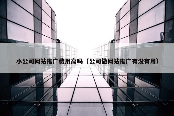 小公司网站推广费用高吗（公司做网站推广有没有用）