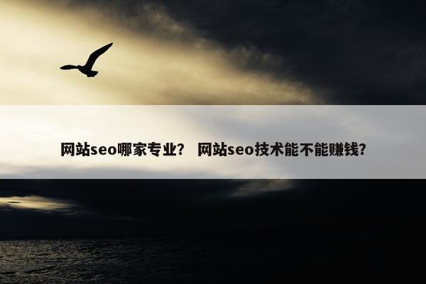 网站seo哪家专业？ 网站seo技术能不能赚钱？