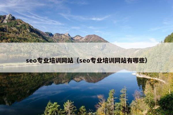 seo专业培训网站（seo专业培训网站有哪些）