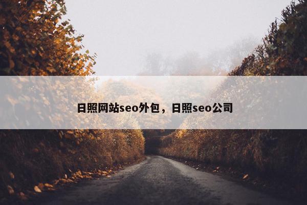 日照网站seo外包，日照seo公司