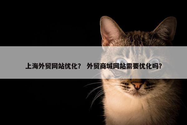 上海外贸网站优化？ 外贸商城网站需要优化吗？