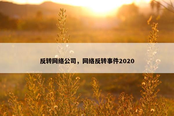 反转网络公司，网络反转事件2020